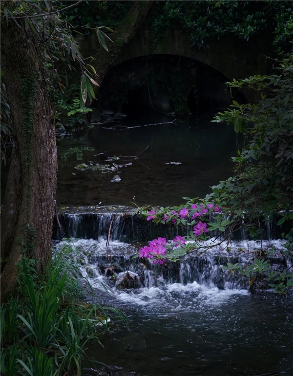 640-1.jpeg 640-1.jpeg